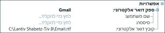Print export email options shabetz8.png